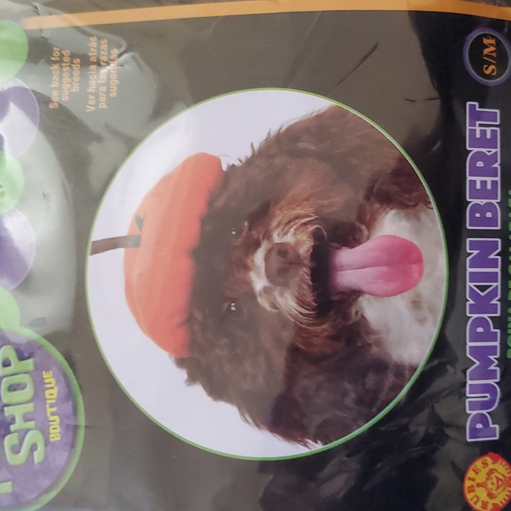 Pet Shop, pumpkin Beret, dog, hat, size S/M - Picture 2 of 4